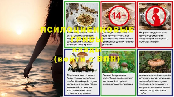 эйфоретик Няндома