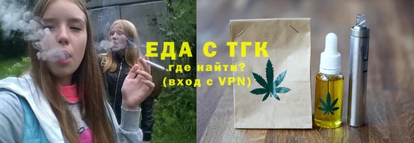 эйфоретик Няндома
