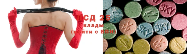 индика Абинск