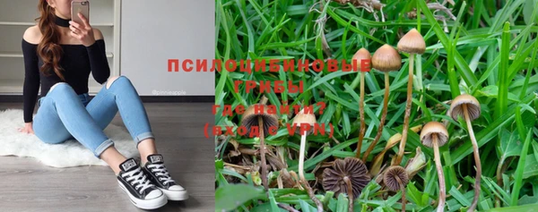 прущие крисы Абдулино