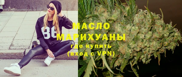 эйфоретик Няндома