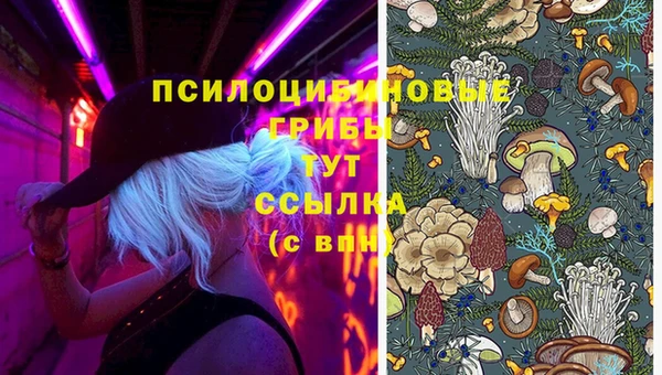 apvp Нягань