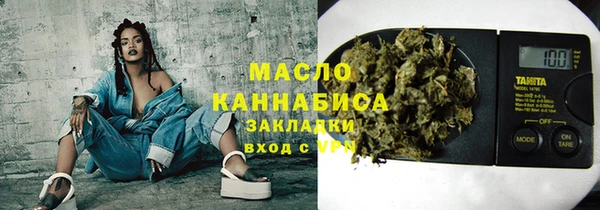 индика Абинск