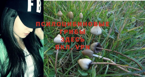 индика Абинск