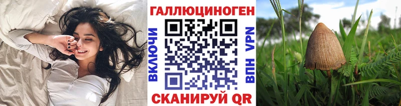 сколько стоит Лакинск Псилоцибиновые грибы MAGIC MUSHROOMS